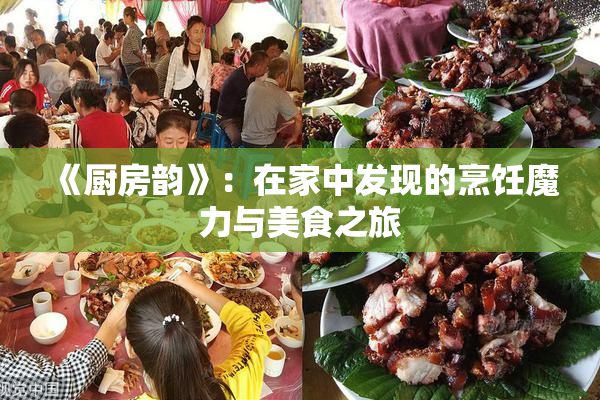 《厨房韵》：在家中发现的烹饪魔力与美食之旅