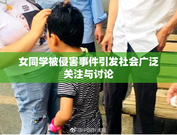 女同学被侵害事件引发社会广泛关注与讨论