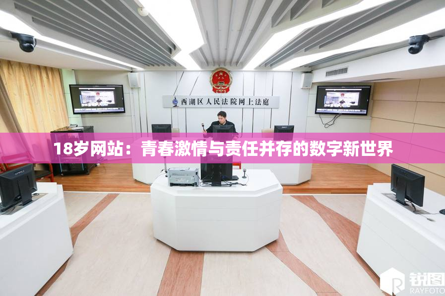 18岁网站：青春激情与责任并存的数字新世界