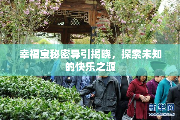 幸福宝秘密导引揭晓，探索未知的快乐之源