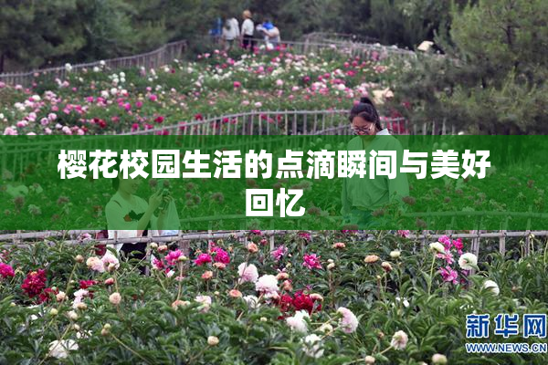 樱花校园生活的点滴瞬间与美好回忆