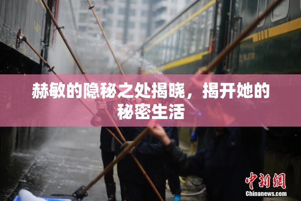 赫敏的隐秘之处揭晓，揭开她的秘密生活