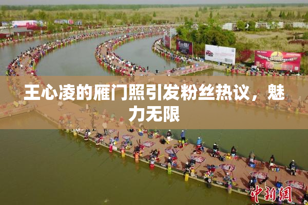 王心凌的雁门照引发粉丝热议，魅力无限