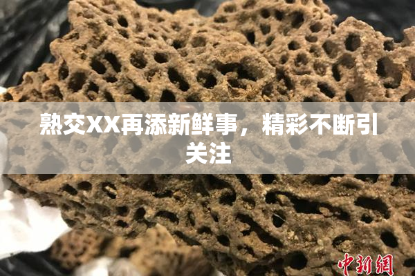 熟交XX再添新鲜事，精彩不断引关注