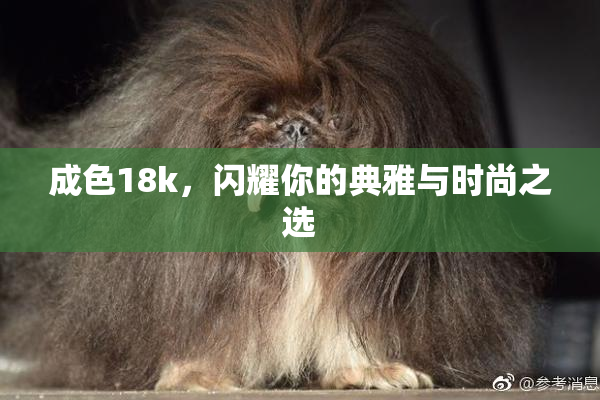 成色18k，闪耀你的典雅与时尚之选