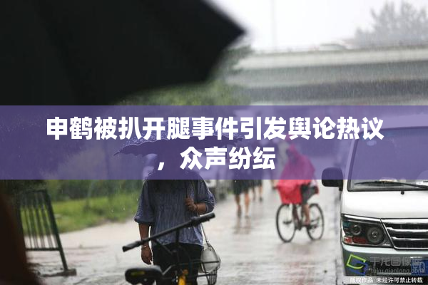 申鹤被扒开腿事件引发舆论热议，众声纷纭