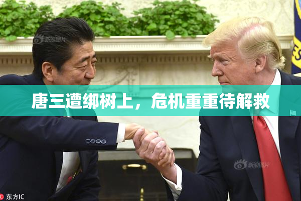 唐三遭绑树上，危机重重待解救