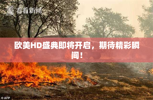 欧美HD盛典即将开启，期待精彩瞬间！