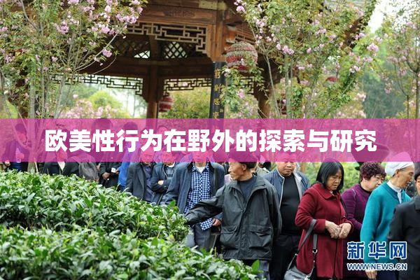 欧美性行为在野外的探索与研究
