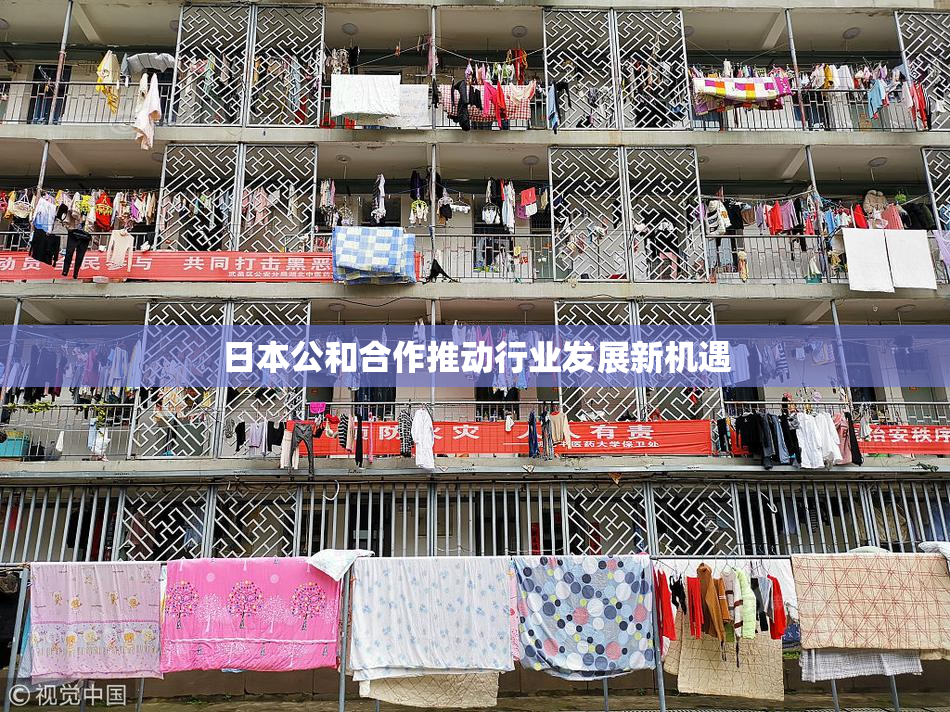 日本公和合作推动行业发展新机遇