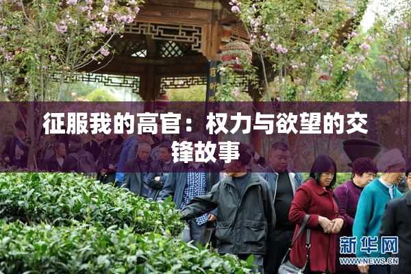 征服我的高官：权力与欲望的交锋故事