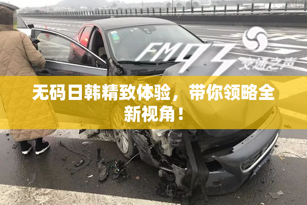 无码日韩精致体验，带你领略全新视角！