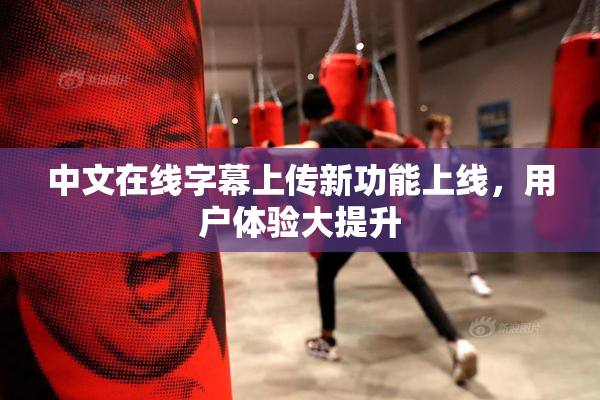 中文在线字幕上传新功能上线，用户体验大提升