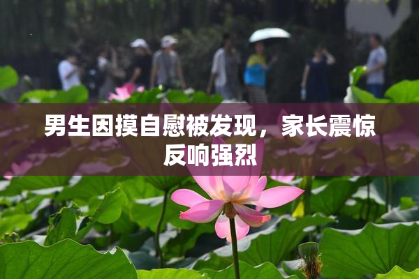 男生因摸自慰被发现，家长震惊反响强烈