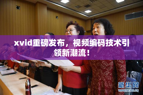 xvid重磅发布，视频编码技术引领新潮流！