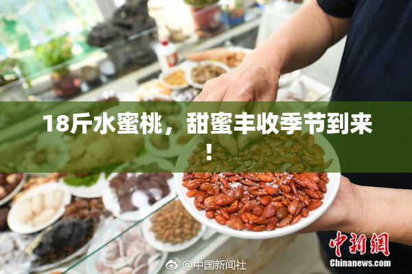 18斤水蜜桃，甜蜜丰收季节到来！