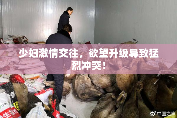 少妇激情交往，欲望升级导致猛烈冲突！