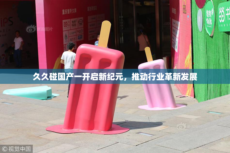 久久碰国产一开启新纪元，推动行业革新发展