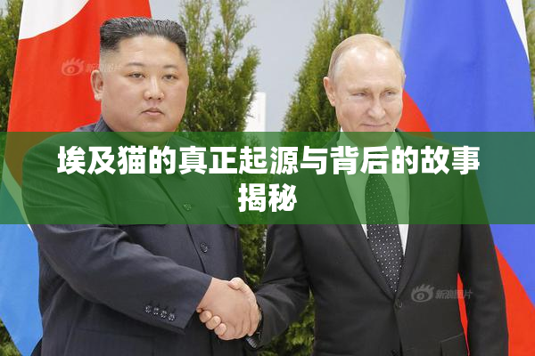 埃及猫的真正起源与背后的故事揭秘
