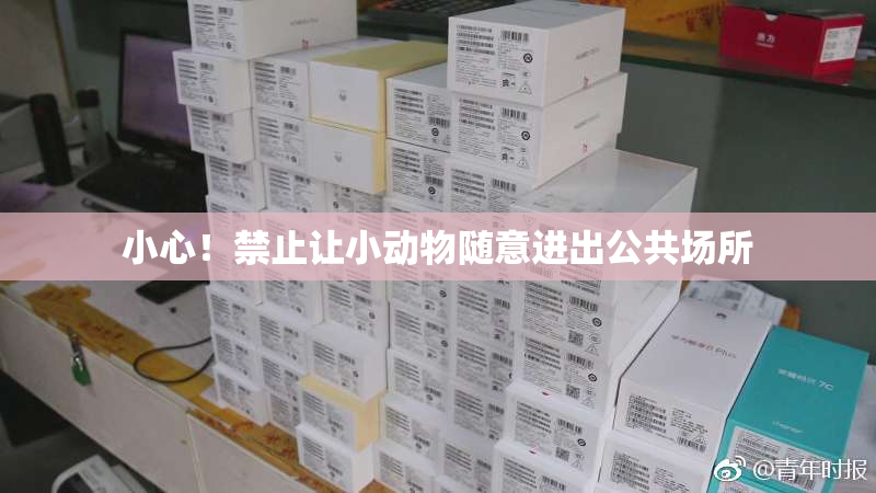 小心！禁止让小动物随意进出公共场所