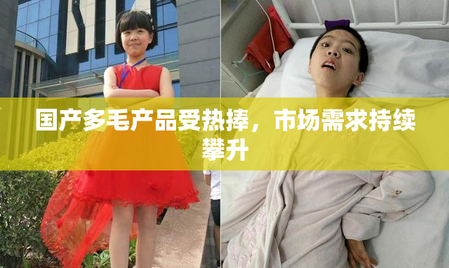国产多毛产品受热捧，市场需求持续攀升