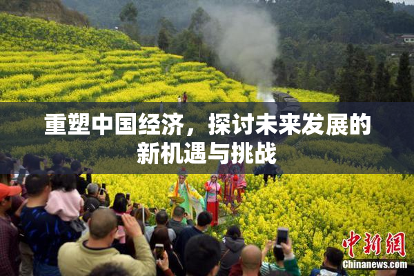 重塑中国经济，探讨未来发展的新机遇与挑战