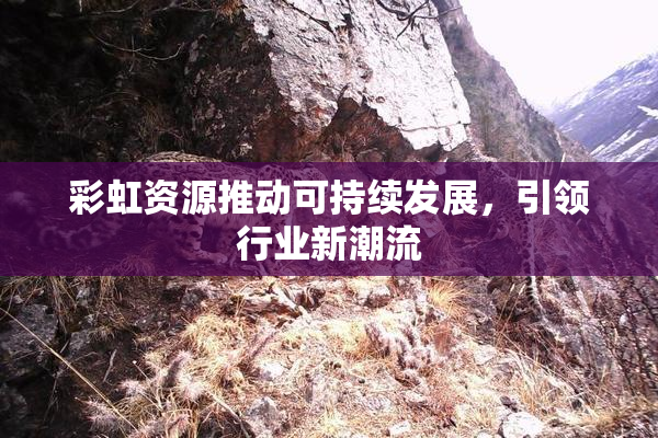 彩虹资源推动可持续发展，引领行业新潮流