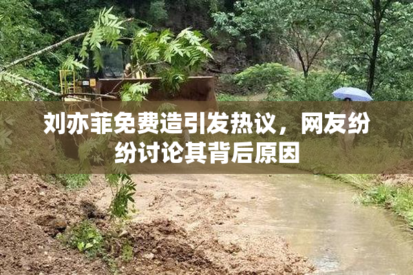 刘亦菲免费造引发热议，网友纷纷讨论其背后原因