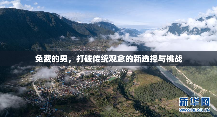 免费的男，打破传统观念的新选择与挑战