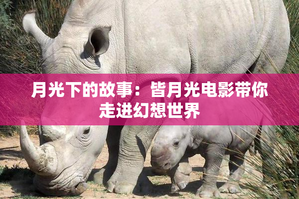 月光下的故事：皆月光电影带你走进幻想世界