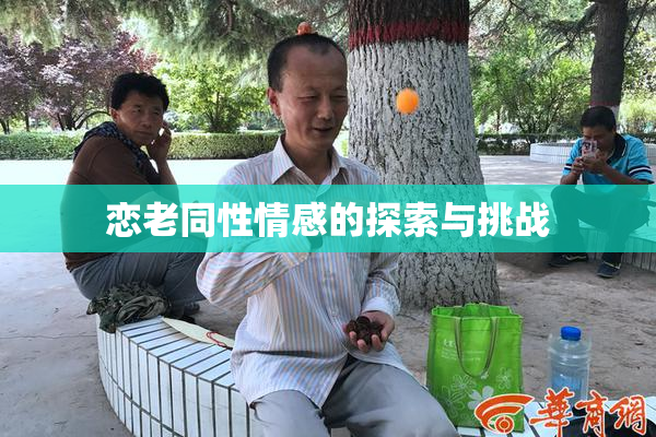 恋老同性情感的探索与挑战
