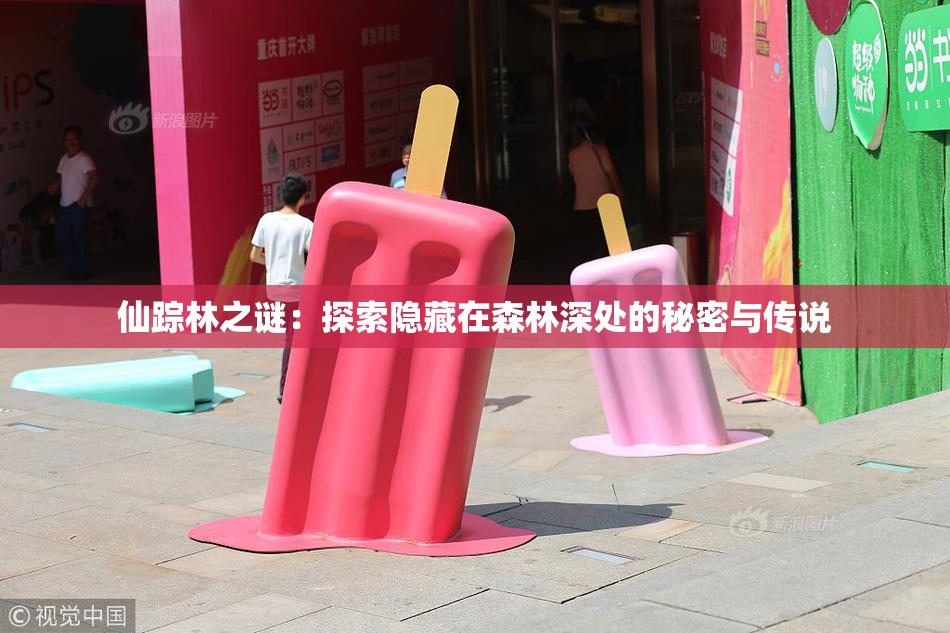 仙踪林之谜：探索隐藏在森林深处的秘密与传说