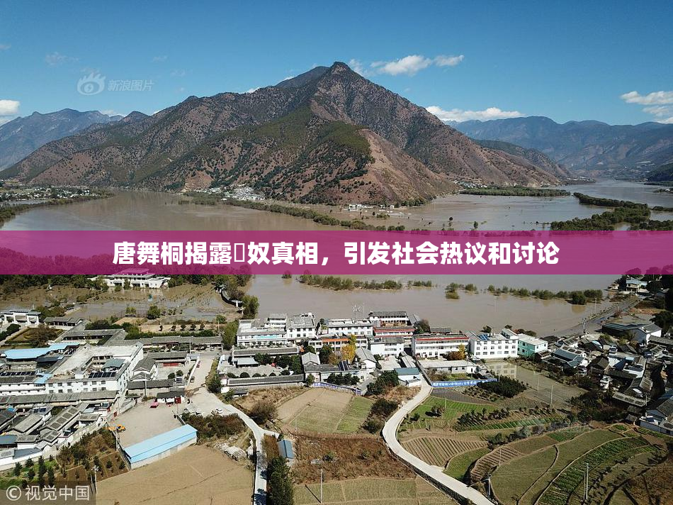 唐舞桐揭露婬奴真相，引发社会热议和讨论