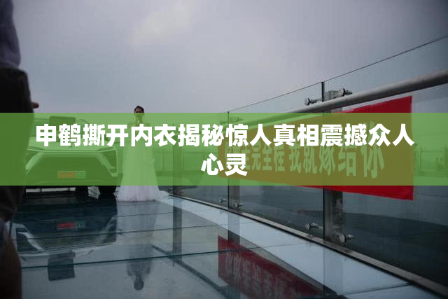 申鹤撕开内衣揭秘惊人真相震撼众人心灵