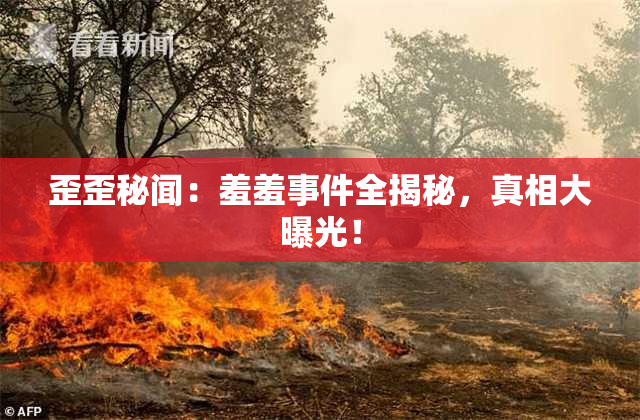 歪歪秘闻：羞羞事件全揭秘，真相大曝光！