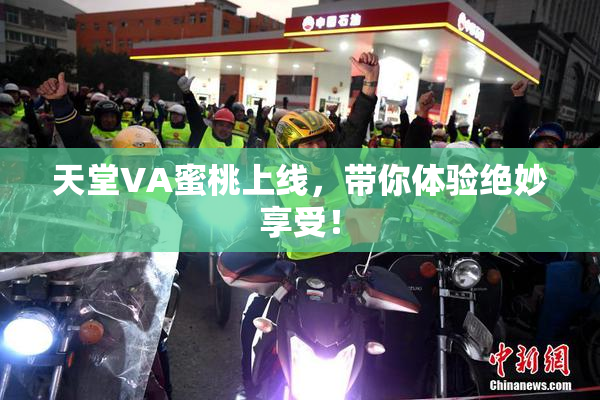 天堂VA蜜桃上线，带你体验绝妙享受！