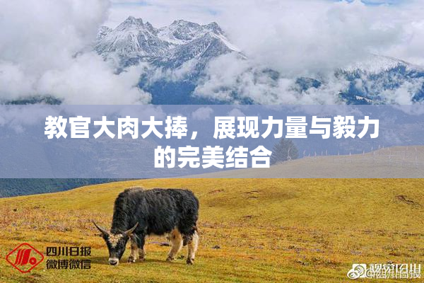 教官大肉大捧，展现力量与毅力的完美结合