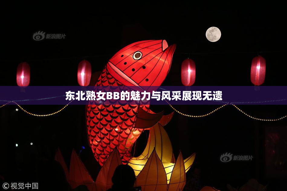 东北熟女BB的魅力与风采展现无遗