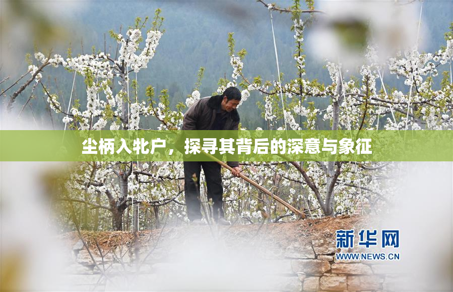 尘柄入牝户，探寻其背后的深意与象征