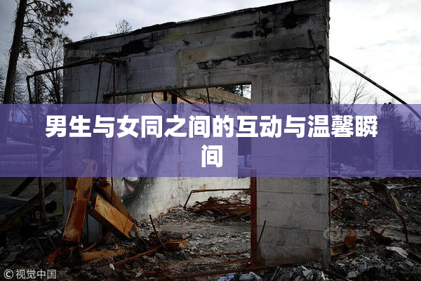 男生与女同之间的互动与温馨瞬间