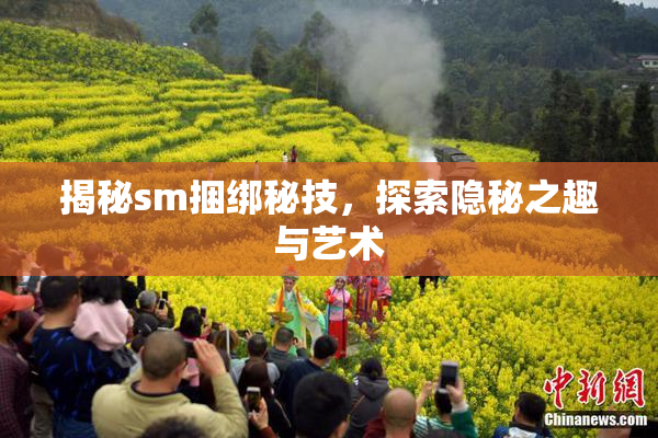 揭秘sm捆绑秘技，探索隐秘之趣与艺术