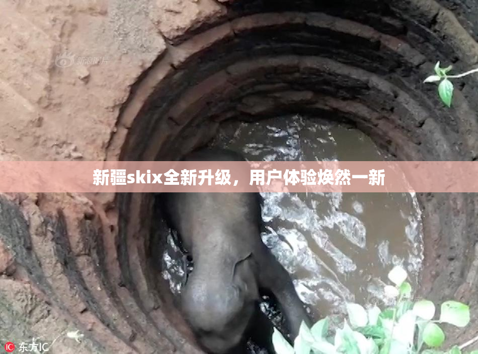 新疆skix全新升级，用户体验焕然一新