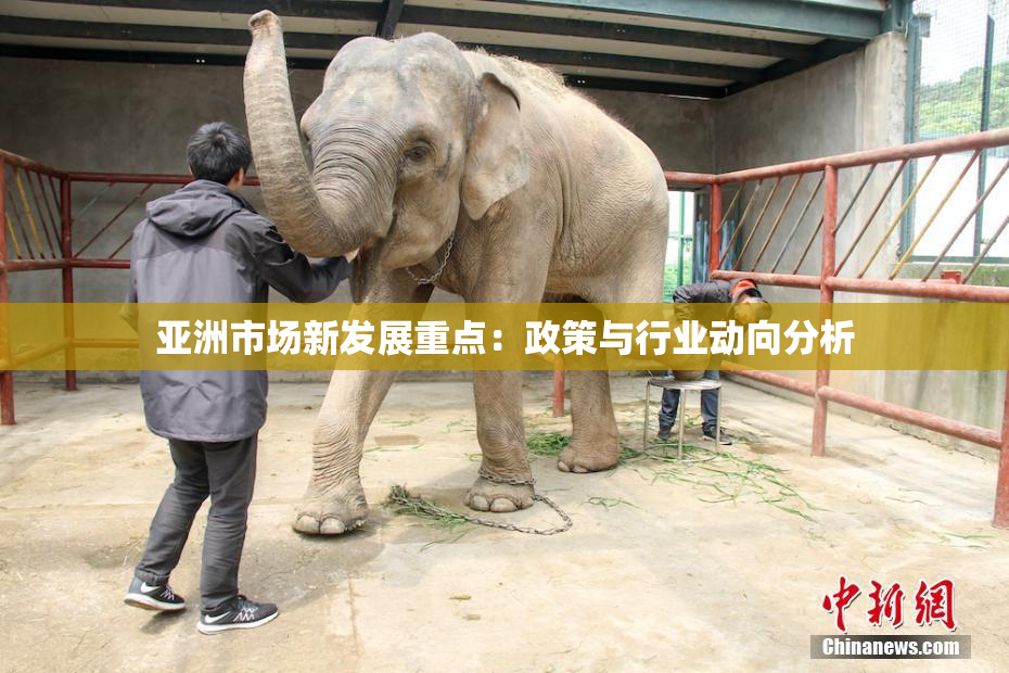 亚洲市场新发展重点：政策与行业动向分析