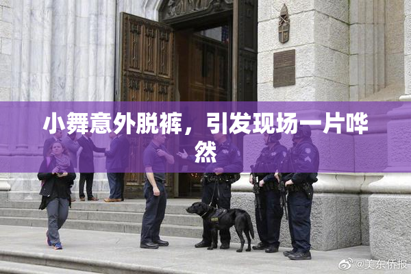 小舞意外脱裤，引发现场一片哗然