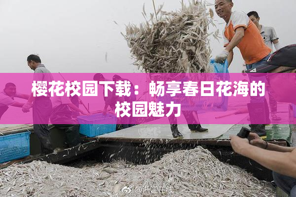 樱花校园下载：畅享春日花海的校园魅力