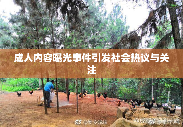 成人内容曝光事件引发社会热议与关注