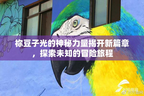 祢豆子光的神秘力量揭开新篇章，探索未知的冒险旅程