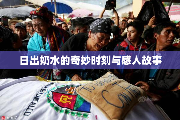 日出奶水的奇妙时刻与感人故事
