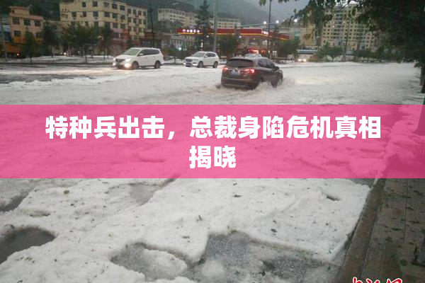 特种兵出击，总裁身陷危机真相揭晓