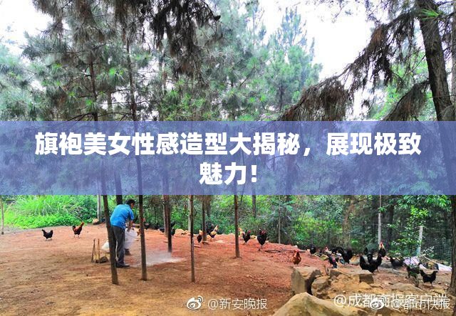 旗袍美女性感造型大揭秘，展现极致魅力！